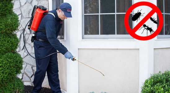 Efeler Kene İlaçlama böcek ilaçlama ve haşere kontrolü — ilaclama-tr.com